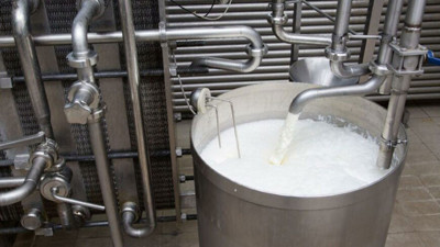 Süt sektörü de iflasın eşiğinde. Hayvanlar kesime gidiyor