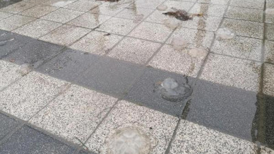 Dev dalgalar caddeleri denizanasıyla doldurdu