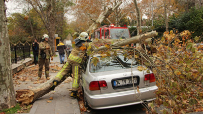 İstanbul’daki lodos ağaçları da vurdu