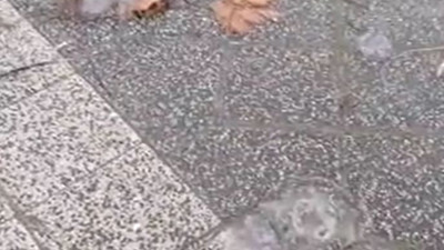 Denizden havalandılar caddeleri doldurdular