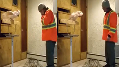 Gözlerinin önünde yuvası yıkılan papağan böyle feryat etti