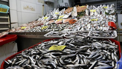 Lodos balık fiyatlarını vurdu. Lüferin fiyatı 200 liraya çıktı