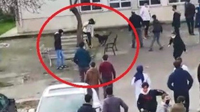 Lisenin bahçesine giren pitbull öğrencileri ısırdı. Durdurun bu pitbull vahşetini