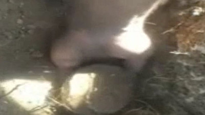 Define avcısı Türk suyla kaplı toprağa kaldırdı hazineyi avucunun içine aldı