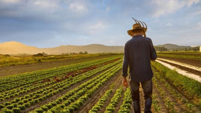 Zamlara yetişemeye çiftçi, toprağını satışa çıkardı