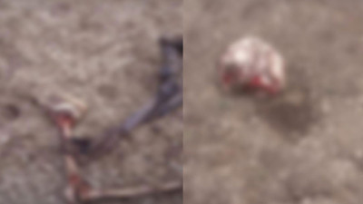 İran sınırında parçalanmış ceset bulundu