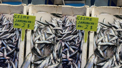 Yılmaz Özdil tek bir fotoğrafla ülkenin durumunu anlattı. Balık dolarla satılmaya başlandı