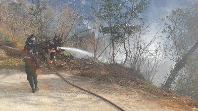 Trabzon'da 4 farklı noktada orman yangını. Katarlılara müjde