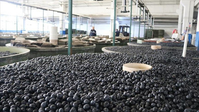 Marmarabirlik ortaklarına 40,3 milyon lira ödeme yapacak