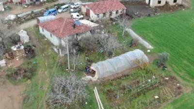 Manisa'da uyuşturucu operasyonu: 73 kök kenevir ele geçirildi