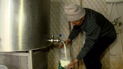 Sütün fiyatı bugün de uçtu. Üreticide 3 lira 30 kuruş markette bakın ne kadar oldu