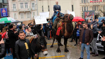 İstanbul'da develi protesto. Görenler gözlerine inanamadı
