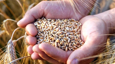 TMMOB: Gıda Krizi Kapımızda