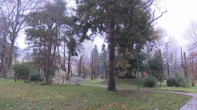 Ağaçların erken çiçek açması hakkında korkutan açıklama! Bakın neyin habercisiymiş