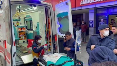 İki pitbull 4 yaşındaki çocuğa saldırdı