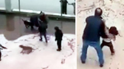 Pitbull dehşetinde 6 kişi gözaltında