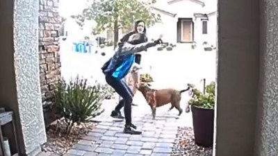 Pitbull'un saldırdığı kadına kadın kurye siper oldu