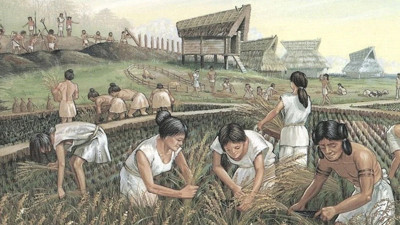 Tarihin en eski soyağacı çıkarıldı. Milattan önce 3700 ile 3600 arasında yaşadılar