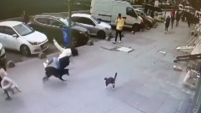 Kediden kaçan köpek yoldan geçen kadını bowling topu gibi devirdi