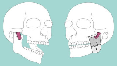 Bilim insanları yeni bir kas keşfetti