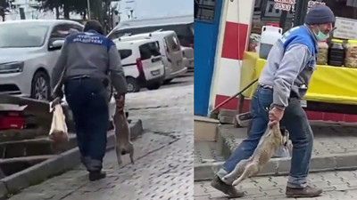 Yavru köpeği patilerinden tutup taşıdı