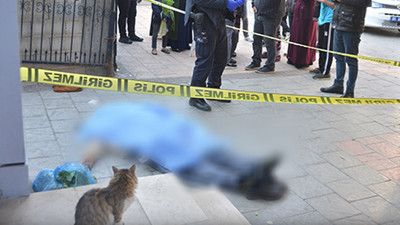 Alışveriş yaparken kalbine yenildi; sokak kedisi başında bekledi