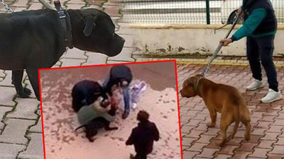 Gaziantep'teki pitbull saldırısıyla ilgili 2 kişi daha tutuklandı