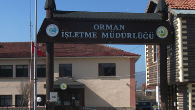 Orman İşletme Müdürlüğü duyurdu. Personel alımı yapacak
