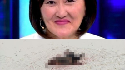 Sokak köpekleri dehşet saçtı. Profesörü parçalayarak öldürdüler