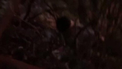 Domuzlardan kaçarken, kayalıklardan düşüp öldü