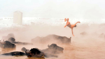 Eksi 20 derecede mandalarıyla beraber sıcak suya girdiler. Manda yuva yapmış kaplıcaya yavrusunu gören olmuş mu