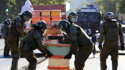 Arıcıların eylemine müdahale eden polisleri arı soktu