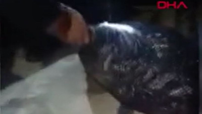 Deniz patlıcanı avlayan 5 kişiye rekor ceza