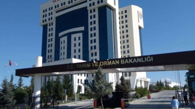 Orman Genel Müdürlüğü 5 bin personel alacak