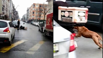 Köpeklerin kovaladığı kurye kaza yaptı