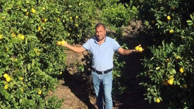 Bedavaya bile alıcı çıkmadı. 450 ton limon elde kaldı. Çitçiler isyan etti. Pazarda 5 Markette 8 lira