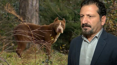 Veteriner hekimler odasından kafaları karıştıran soruya cevap