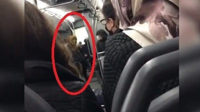 Maskesiz kadın otobüste terör estirdi
