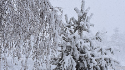 11 ile turuncu, 8 ile sarı kodlu uyarı