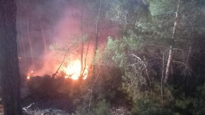 Muğla'da orman yangını (18 Ocak 2022)