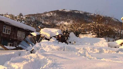 Ahırın çatısı çöktü: 40 büyükbaş telef oldu