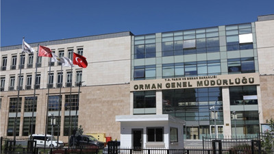 Orman Genel Müdürlüğü 74 Daimi İşçi alacak