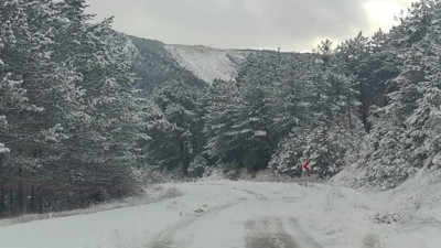 Kapanan köy yolları tekrar açıldı