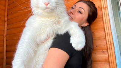 Yavruyken 12,5 kilo oldu, gerisini siz düşünün!