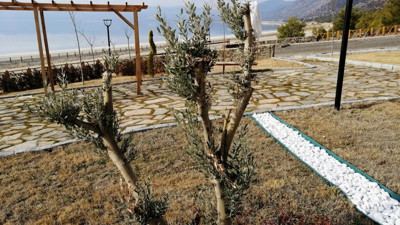 Salda Gölü'ne kepçeye daldılar