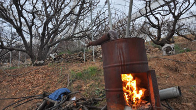 Kilosu 500 TL'lik meyveyi sobayla ısıtıyorlar