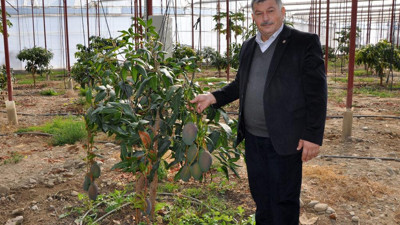 Tanesini 40 liraya satıyor yıllık kazancı 300 bin lira. 2 yılda 2 kat arttı