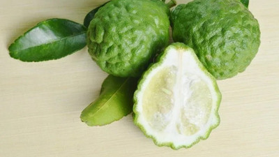 Yağlanmayı 30 günde bitiren mucize bitki