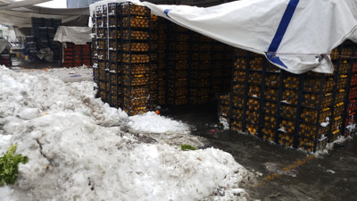 Kar yağışı hal esnafını da vurdu