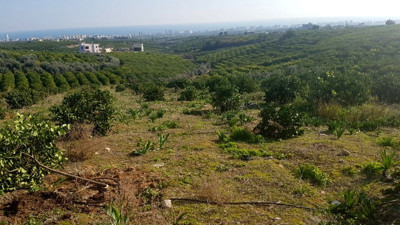 Mersin Orman İşletme Müdürlüğü temizlik malzemesi satın alacak